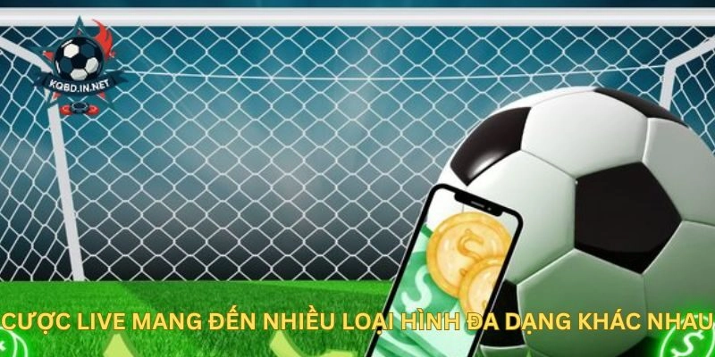 Cược Live Là Gì? Khám Phá Chi Tiết Về Hình Thức Này Tại KQBD